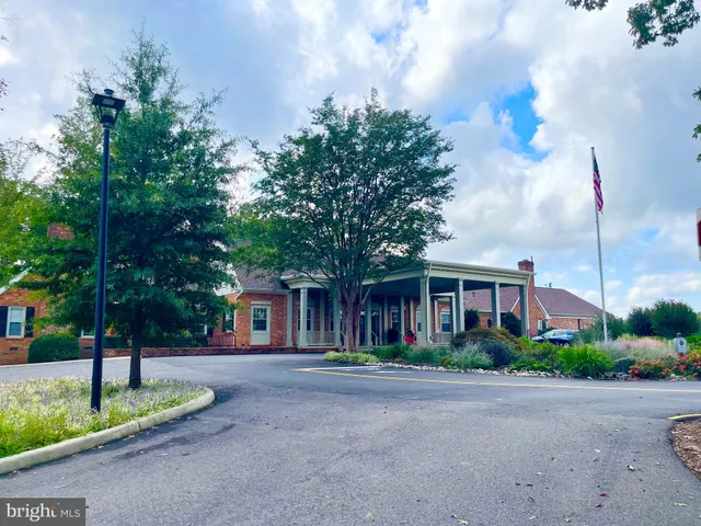 a view of a lake with a tree