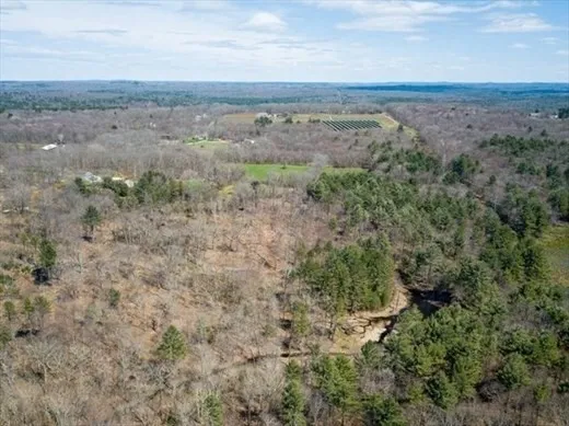 a view of a field with lots of trees