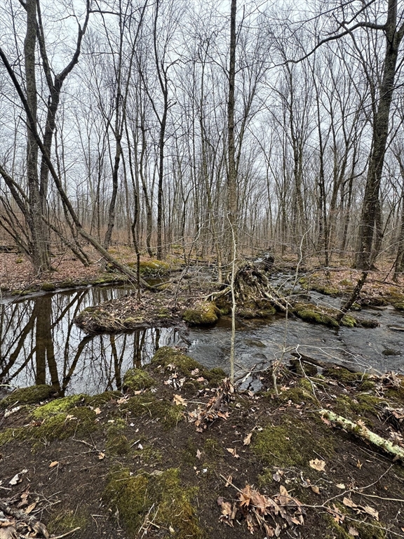 138 Ragged Hill Road West Brookfield, MA 01585 - Photo 6 of 21