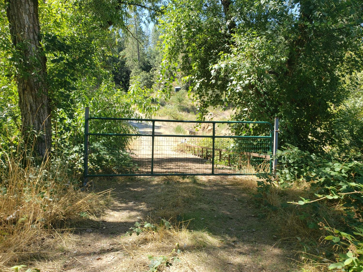 a view of yard with green space