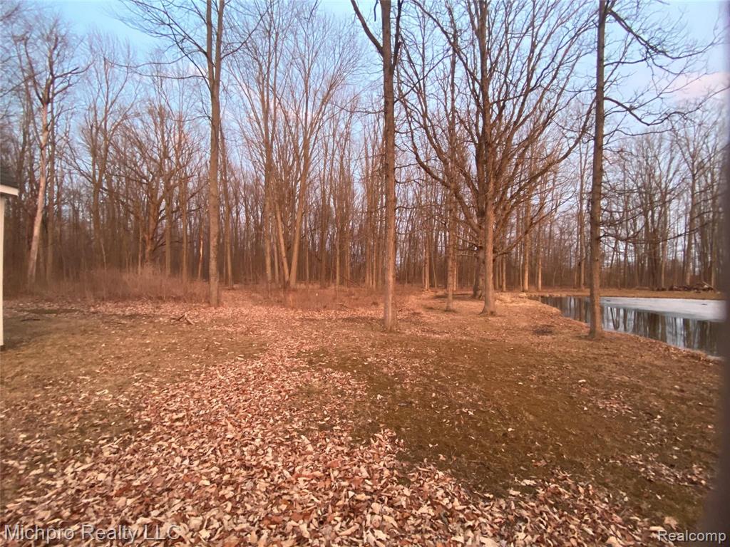 105 South Engle Road Imlay City, MI 48444 - Photo 38 of 55