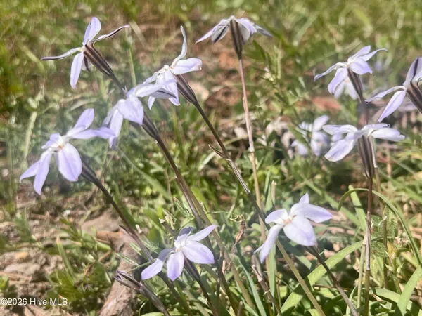 $199,000 | 314 Burke Street, Elizabeth City, NC 27909