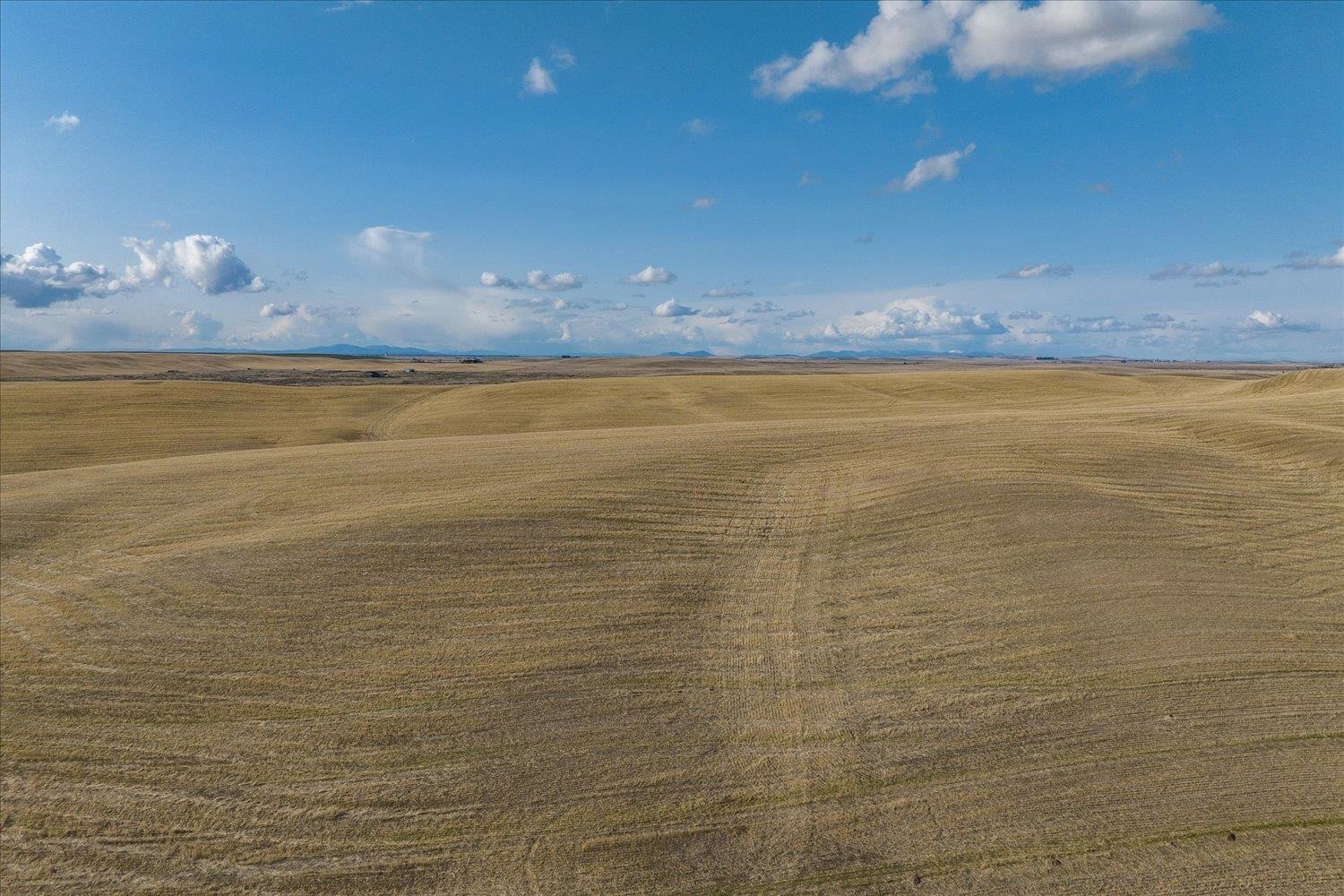 Xx North Coal Springs Road North Davenport, WA 99122 - Photo 18 of 38