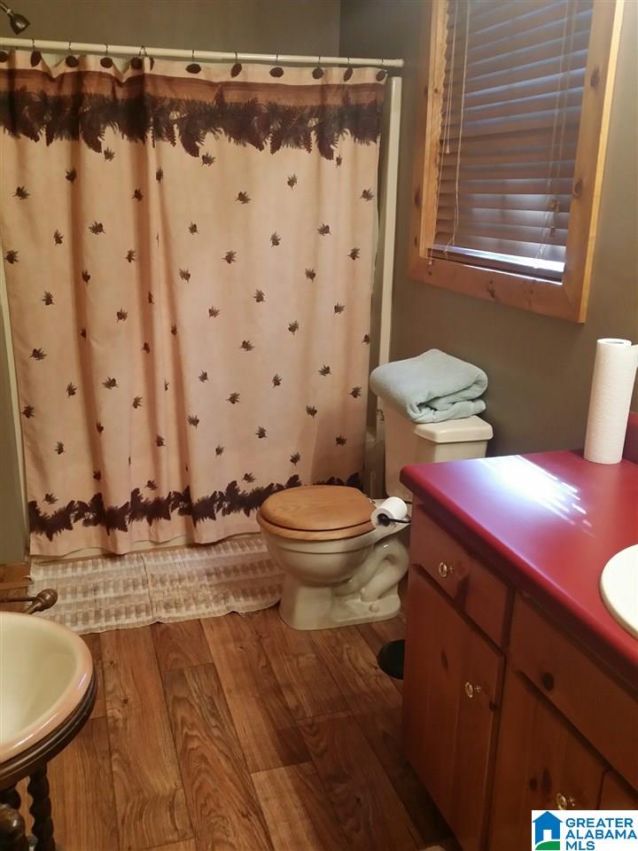 1756 Cottaquilla Road Jacksonville, AL 36265 - Photo 32 of 50