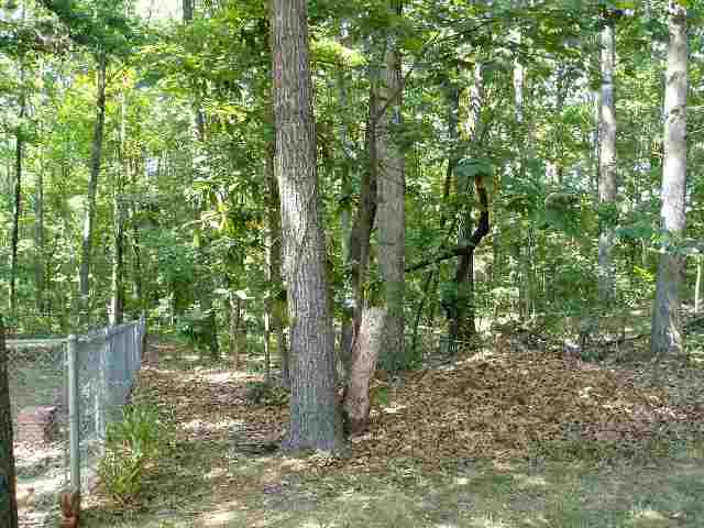 1036 West Duncan Road Greenville, SC 29617 - Photo 14 of 15 Gallery Image 14