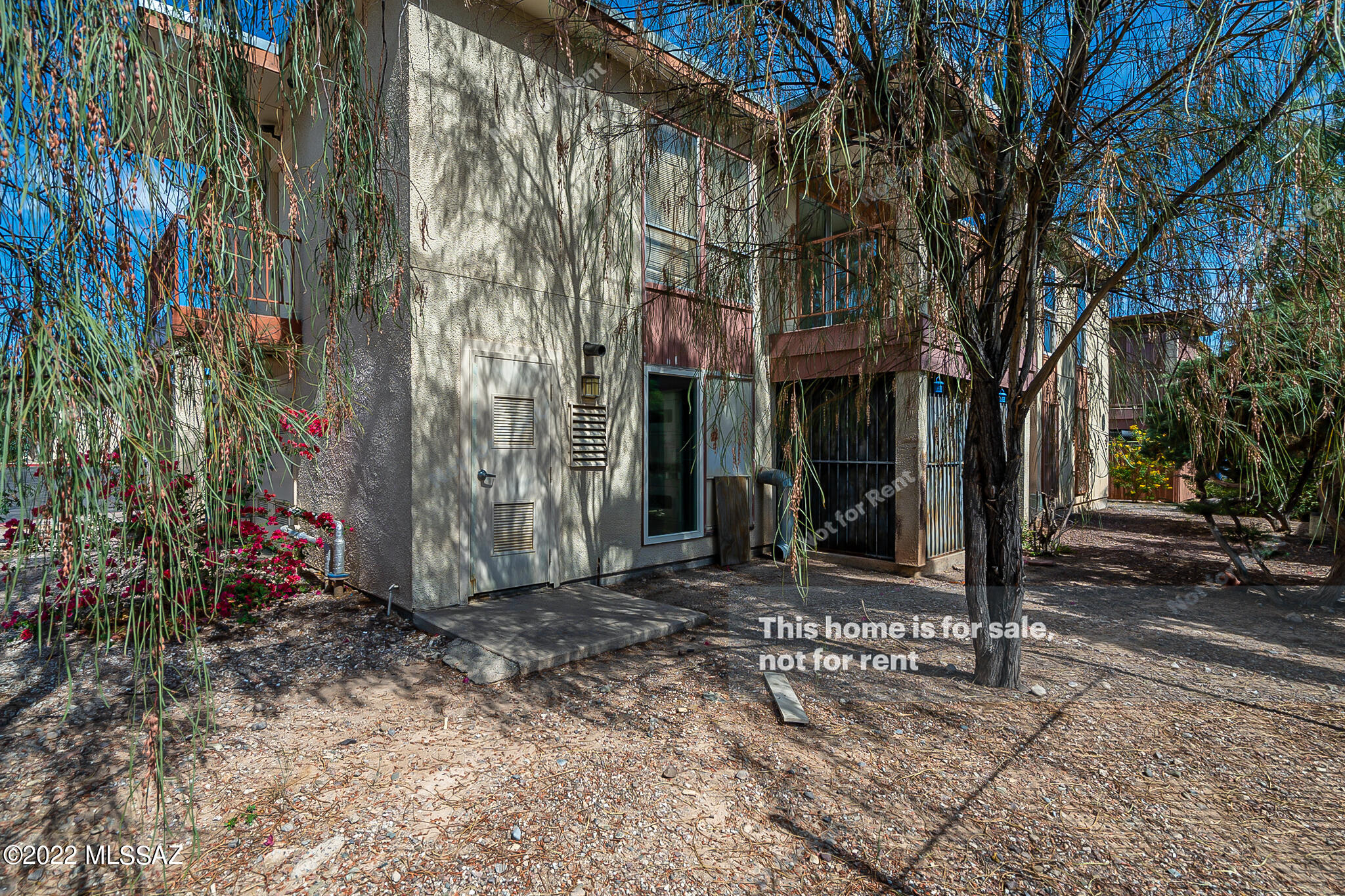1600 North Wilmot Road, Unit 298 Tucson, AZ 85712 - Photo 8 of 20
