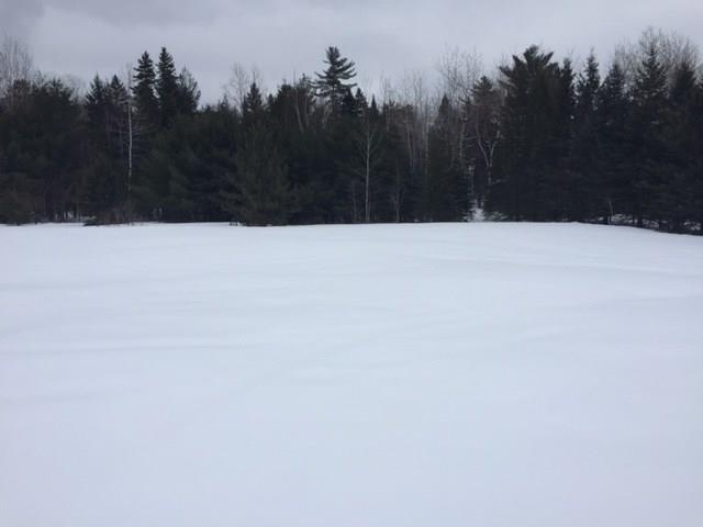 20 Sargent Avenue Stratton, ME 04982 - Photo 11 of 12 Wonderful large back yard.