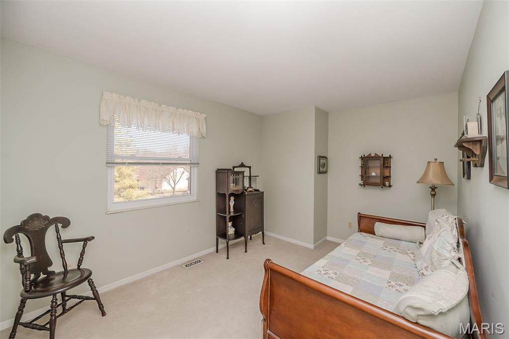 22 Morning Hill Drive Ballwin, MO 63021 - Photo 20 of 27
