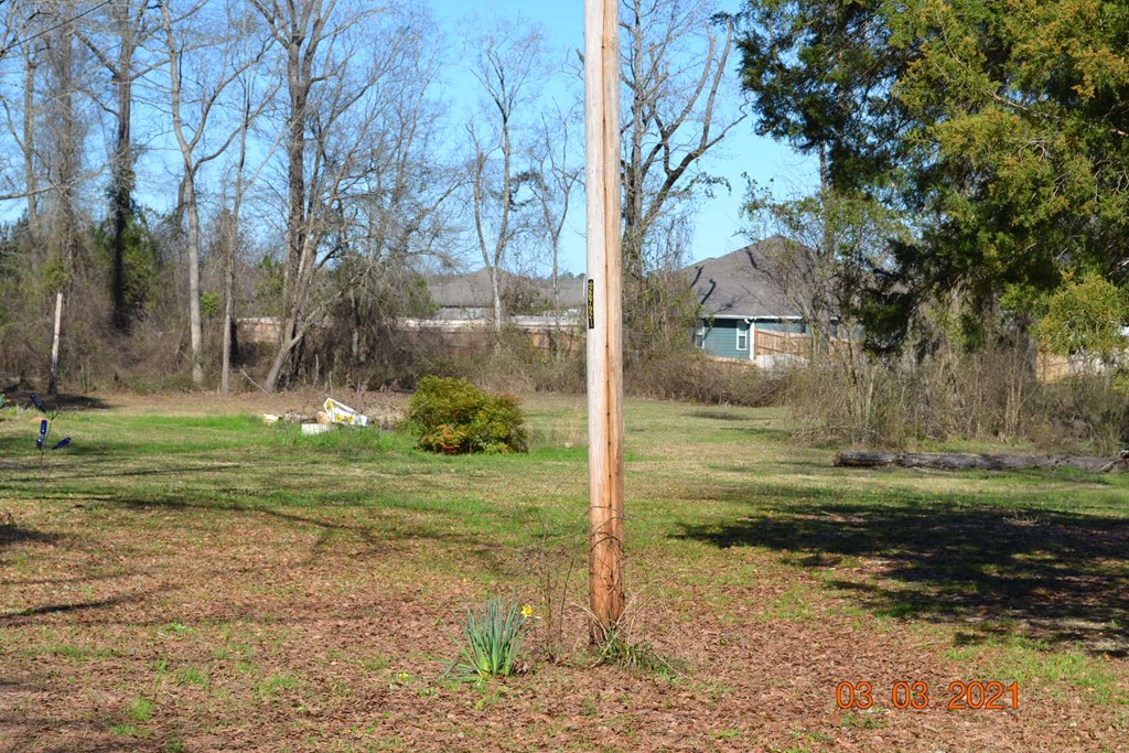 67 McLendon Road Fort Mitchell, AL 36856 - Photo 5 of 8