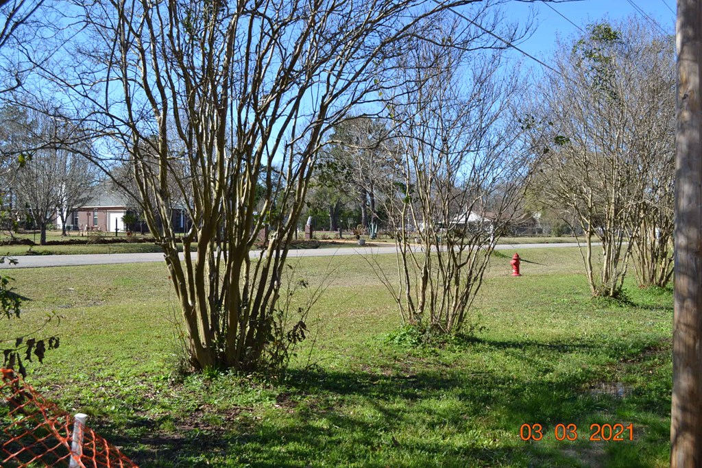 67 McLendon Road Fort Mitchell, AL 36856 - Photo 6 of 8