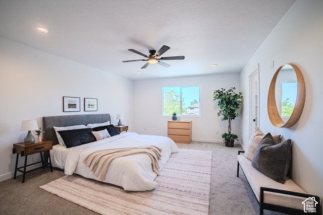 342 Perrine Drive Midvale, UT 84047 - Photo 21 of 37 Recessed lighting, ceiling fan, carpeting, light-filled window, and a paneled door