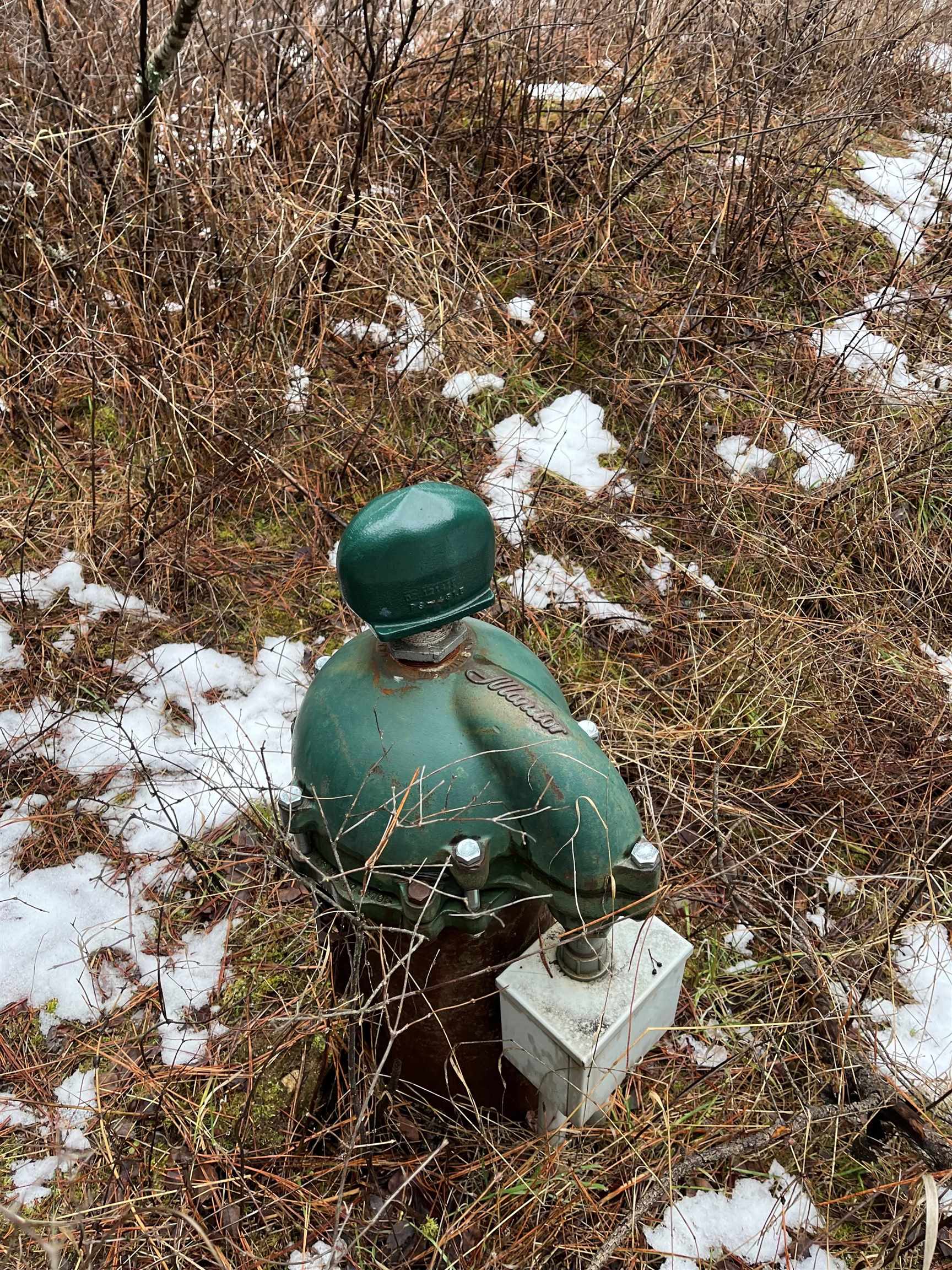 20-xxx North Cedar Road Colbert, WA 99005 - Photo 3 of 4