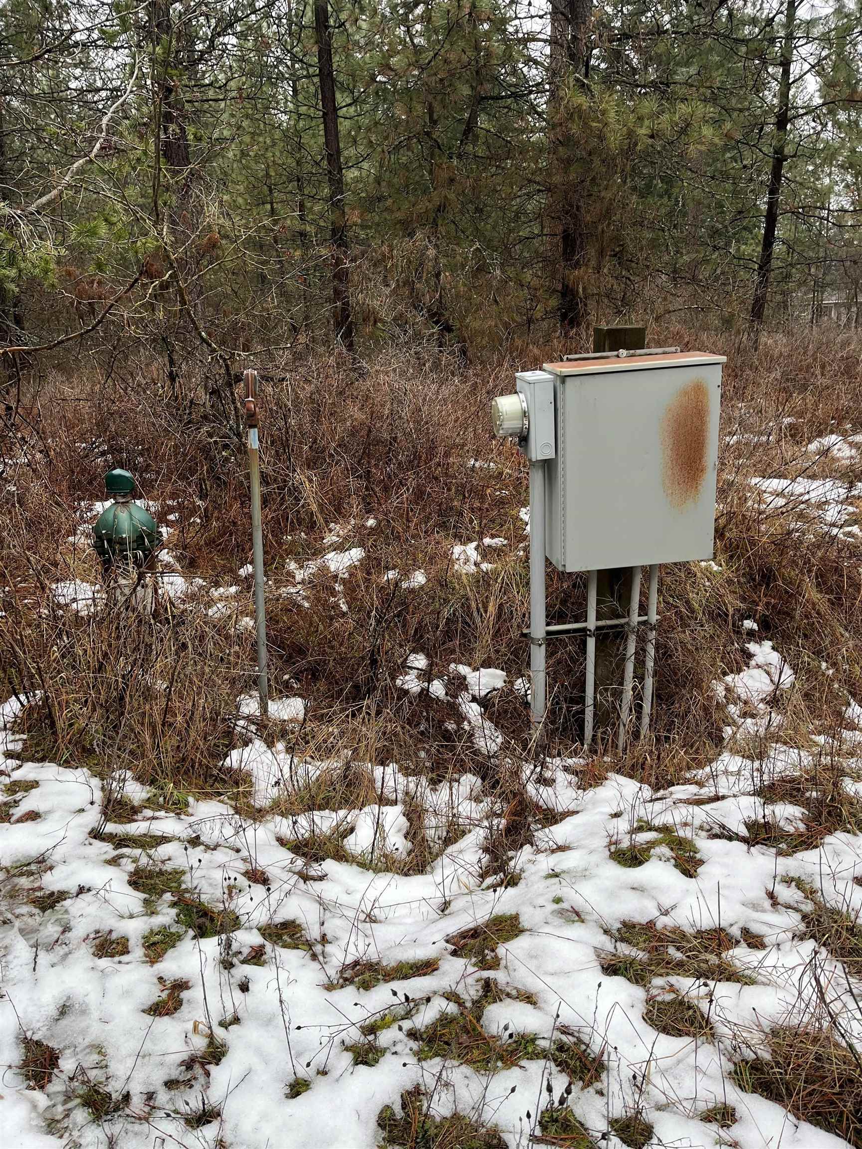 20-xxx North Cedar Road Colbert, WA 99005 - Photo 4 of 4