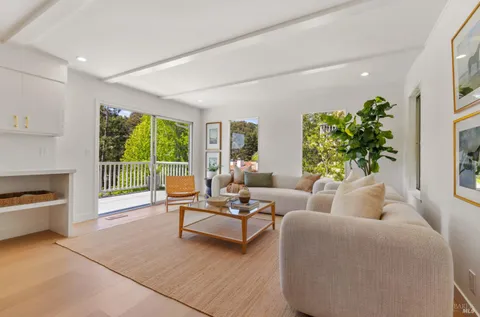 a living room with furniture and a potted plant