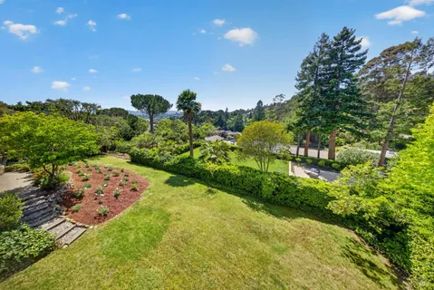 a view of a garden