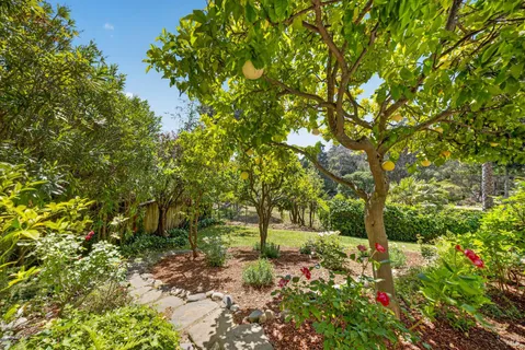 a backyard of a house with lots of green space