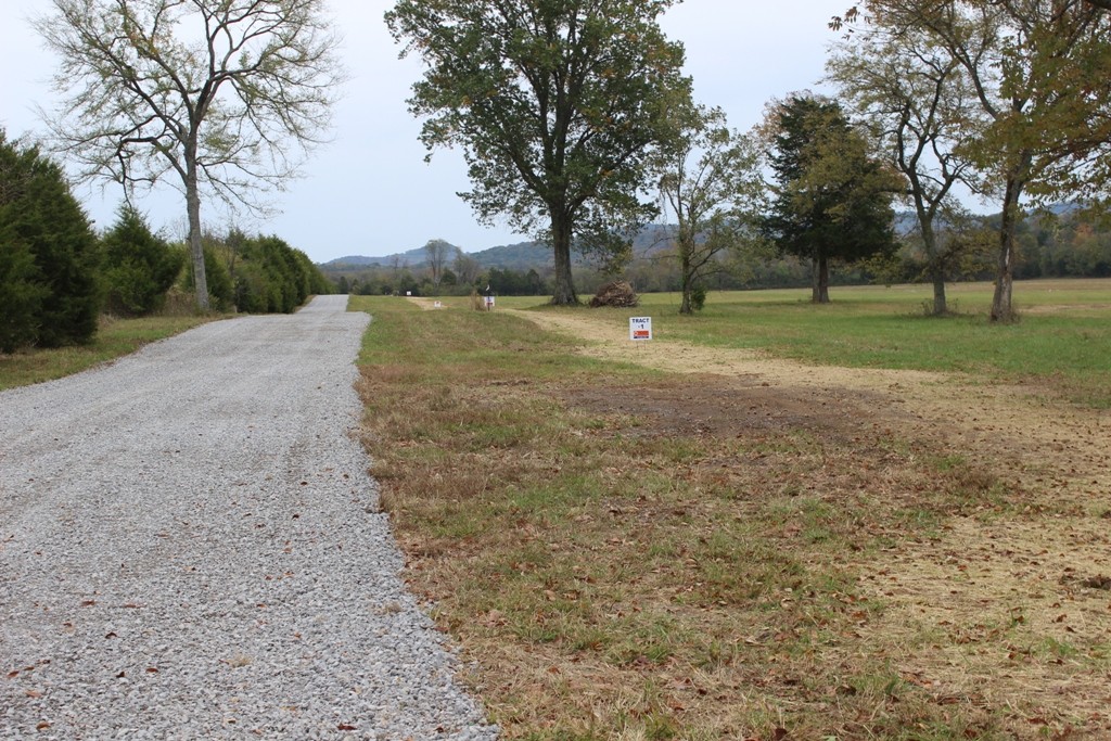 2 Cainsville Road Lebanon, TN 37090 - Photo 1 of 5 a view of grassy field with trees