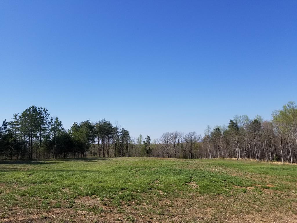 Kinney Road Appomattox, VA 24522 - Photo 1 of 1 Gallery Image 1