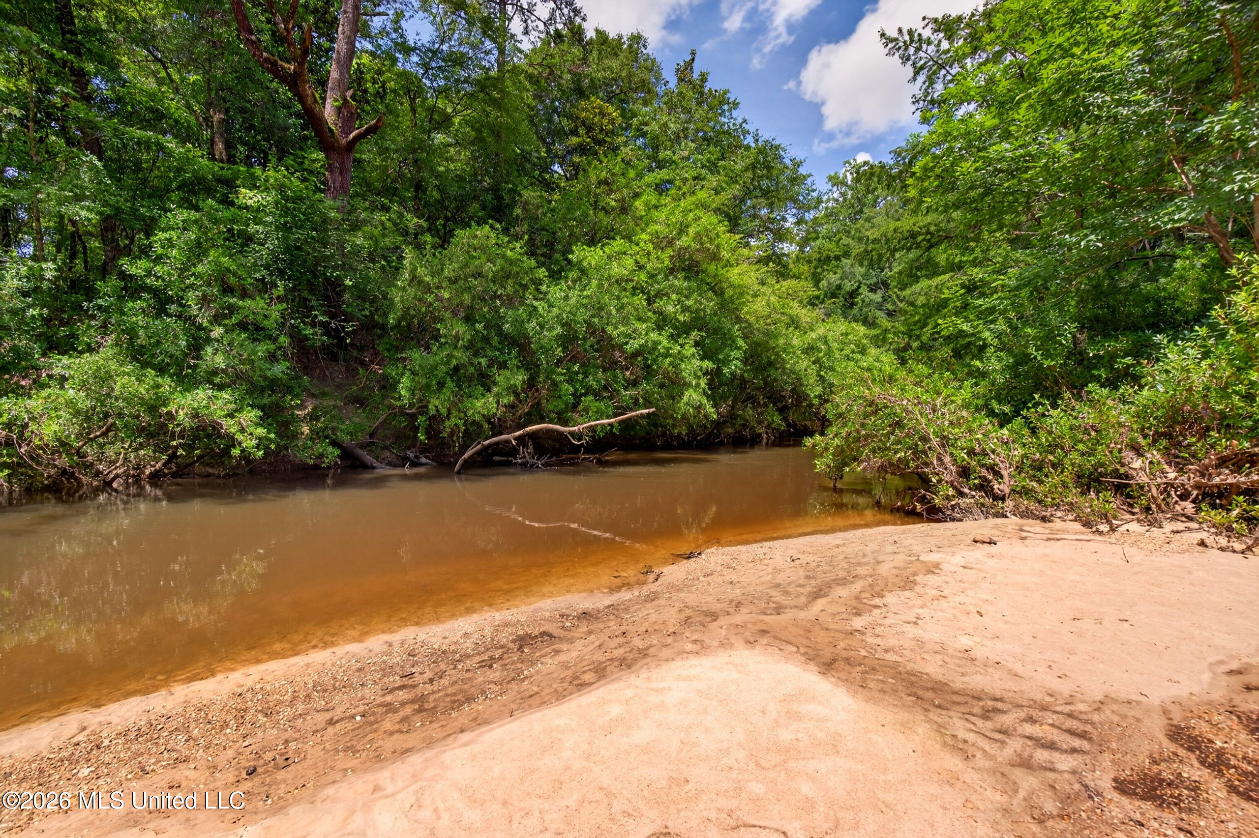 78 Game Reserve Road Columbia, MS 39429 - Photo 5 of 83 78GamerReserveRd.-54