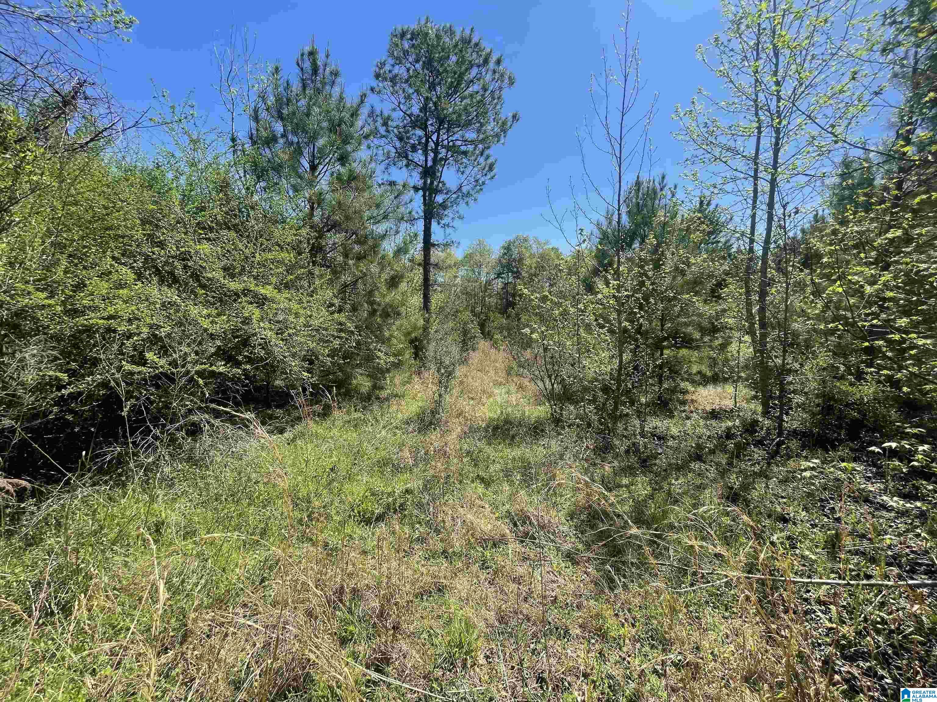 0 Richardson Road Brewton, AL 36426 - Photo 39 of 47
