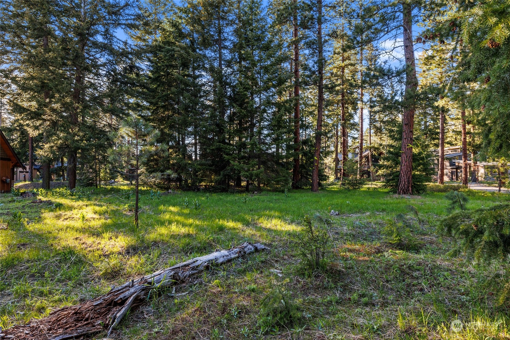 961 Larkspur Loop Cle Elum, WA 98922 - Photo 1 of 17 a view of yard with swimming pool and green space