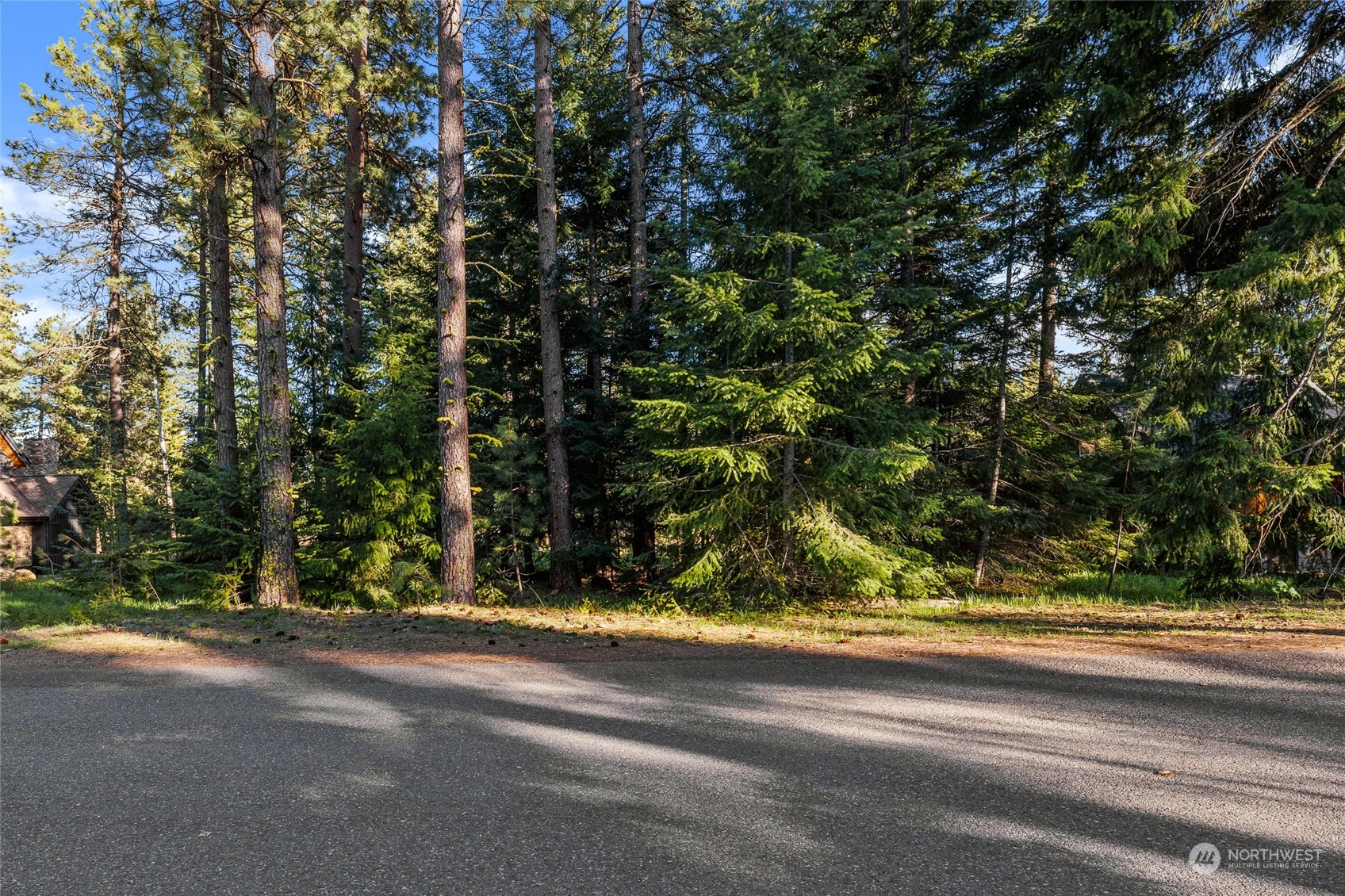 961 Larkspur Loop Cle Elum, WA 98922 - Photo 5 of 17 a view of a yard