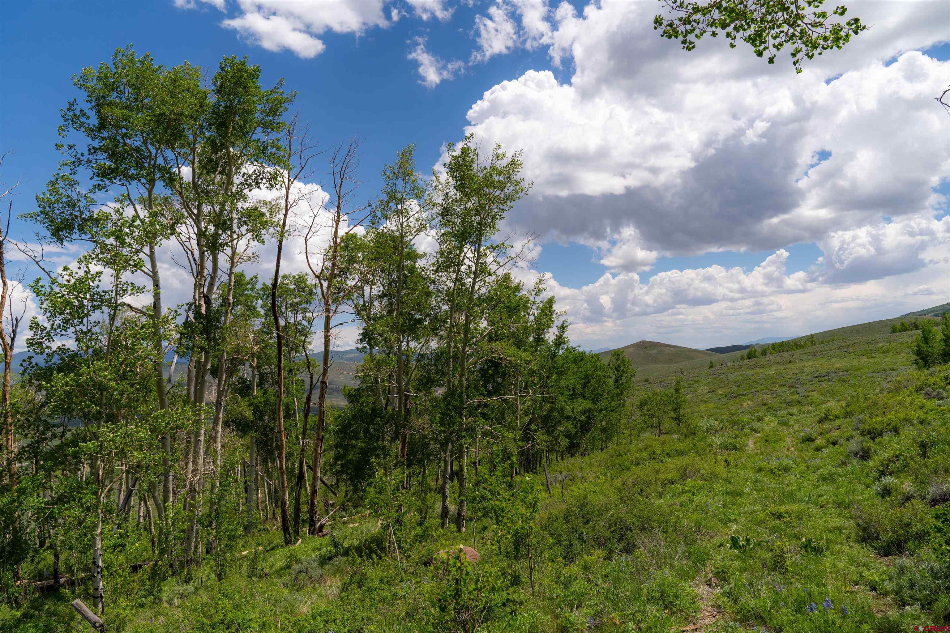 726 Lariat Road Almont, CO 81210 - Photo 11 of 35 Gallery Image 11