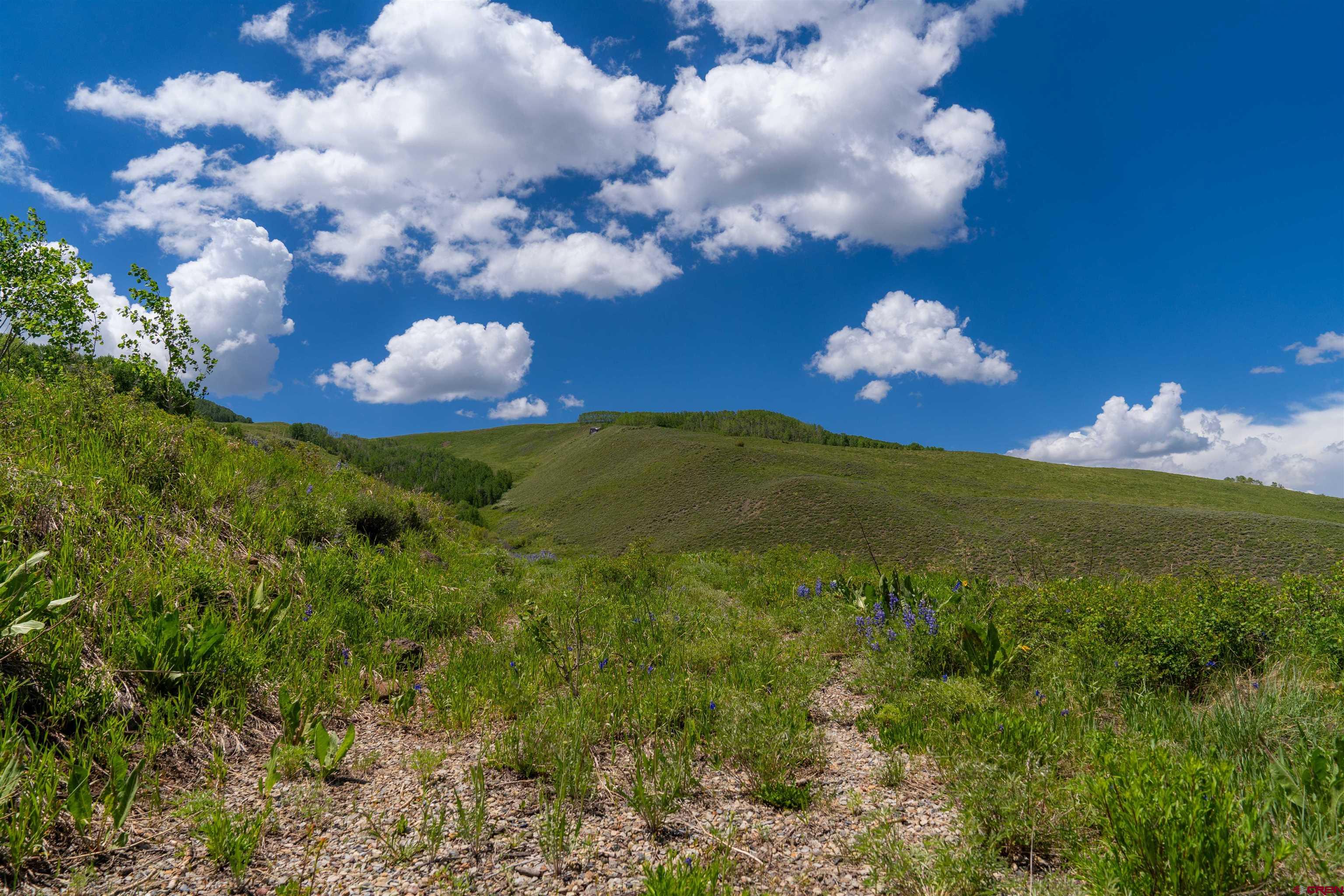 726 Lariat Road Almont, CO 81210 - Photo 14 of 35 Gallery Image 14