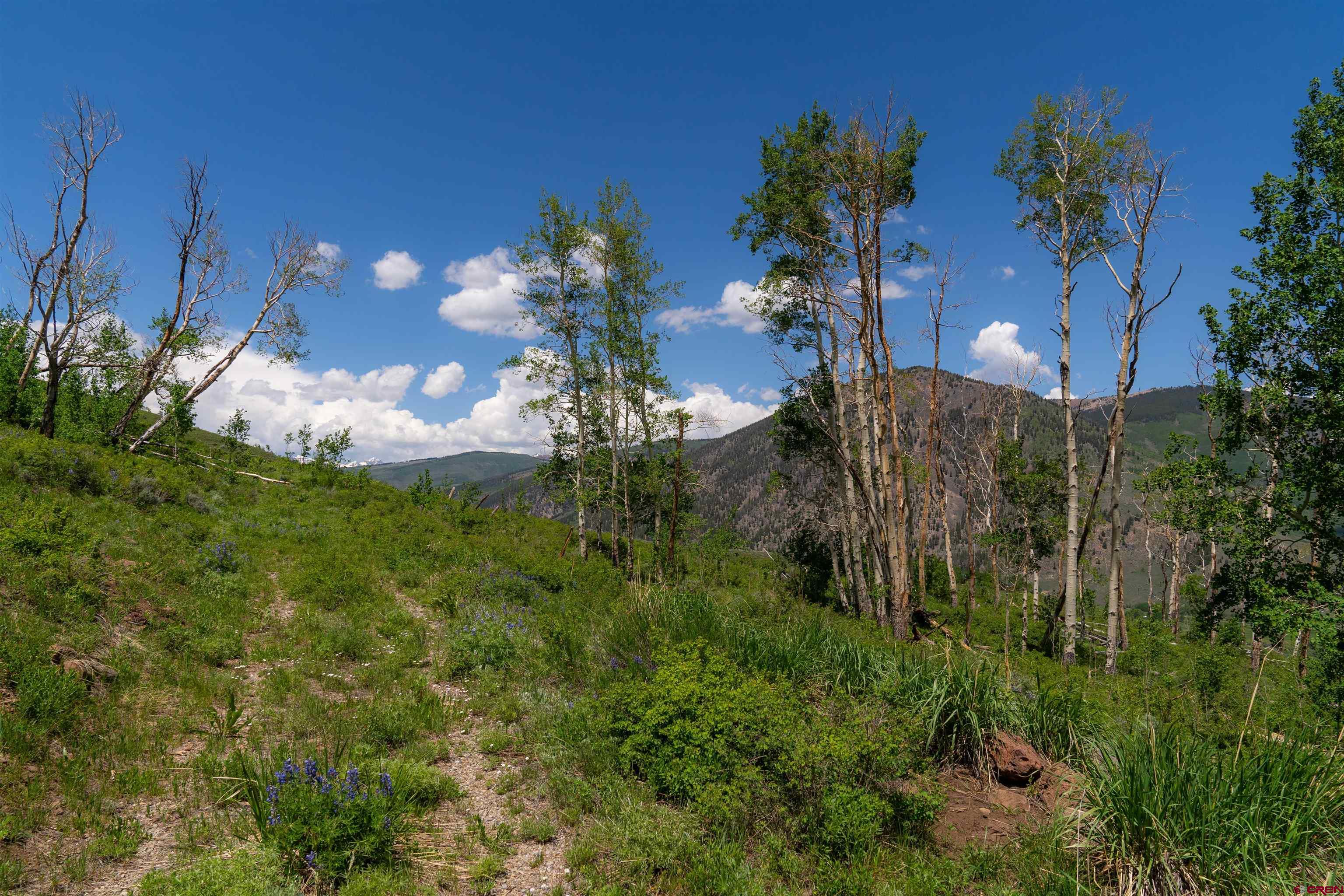 726 Lariat Road Almont, CO 81210 - Photo 26 of 35 Gallery Image 26