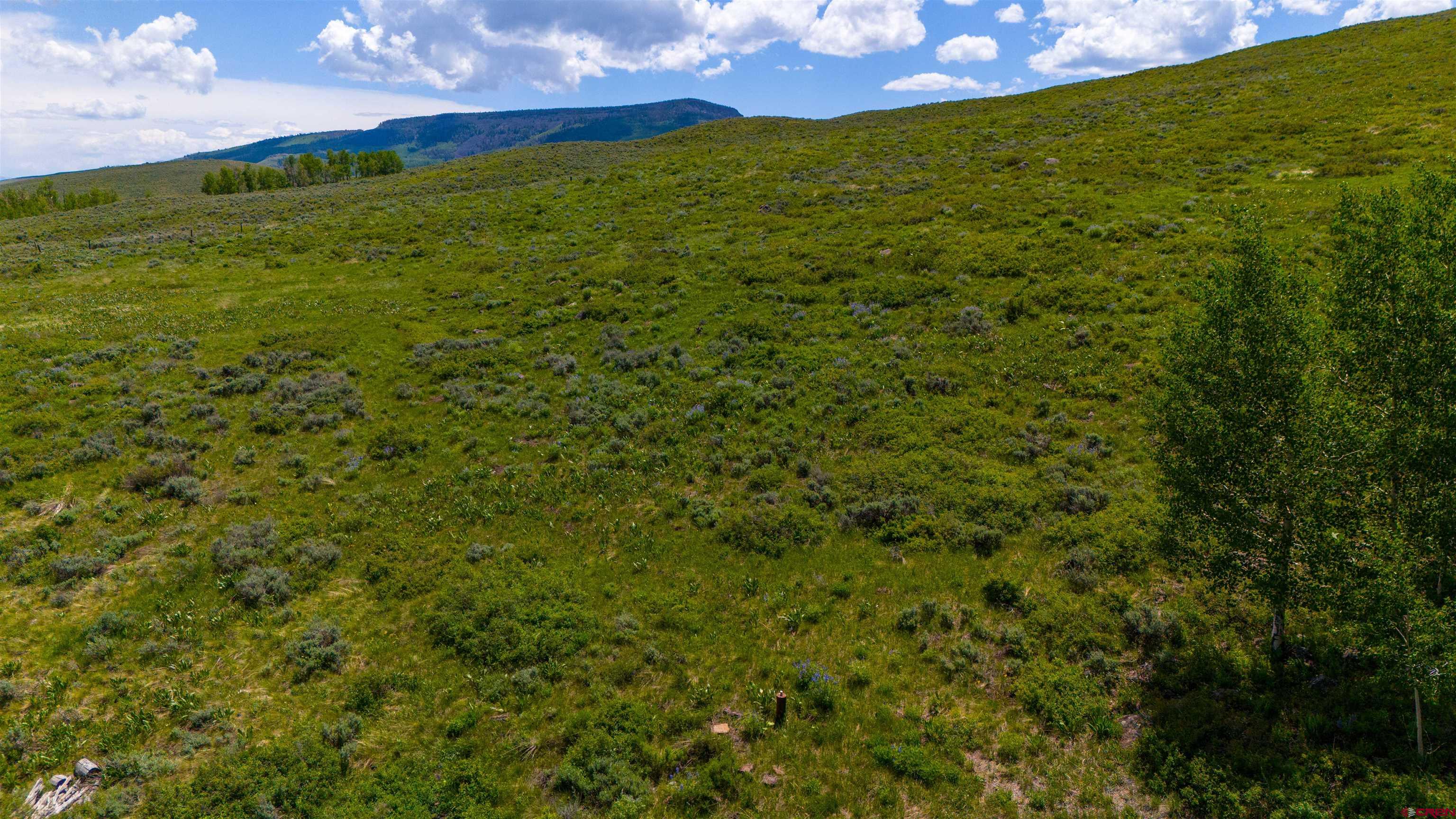 726 Lariat Road Almont, CO 81210 - Photo 28 of 35 Gallery Image 28