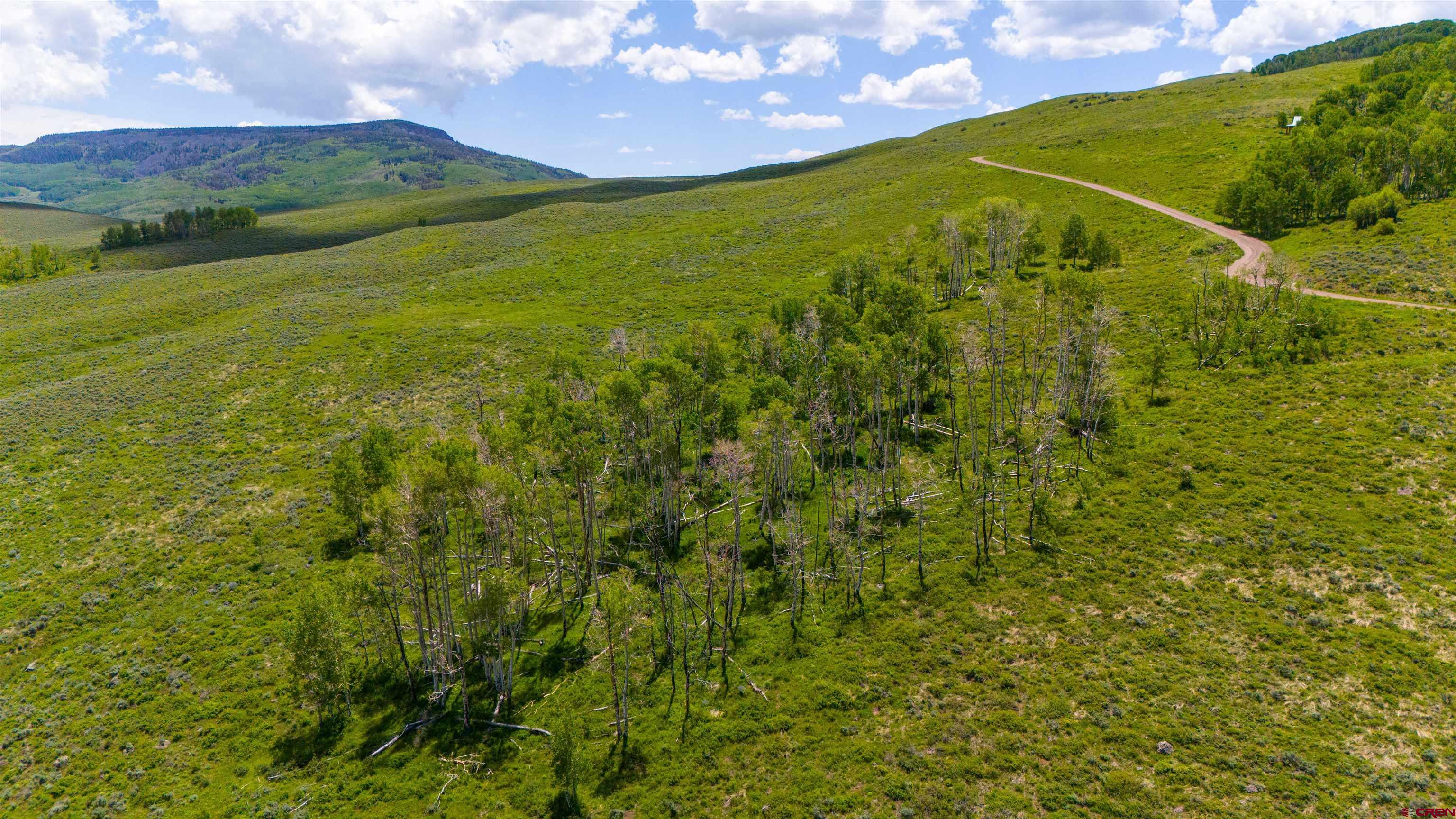 726 Lariat Road Almont, CO 81210 - Photo 8 of 35 Gallery Image 8