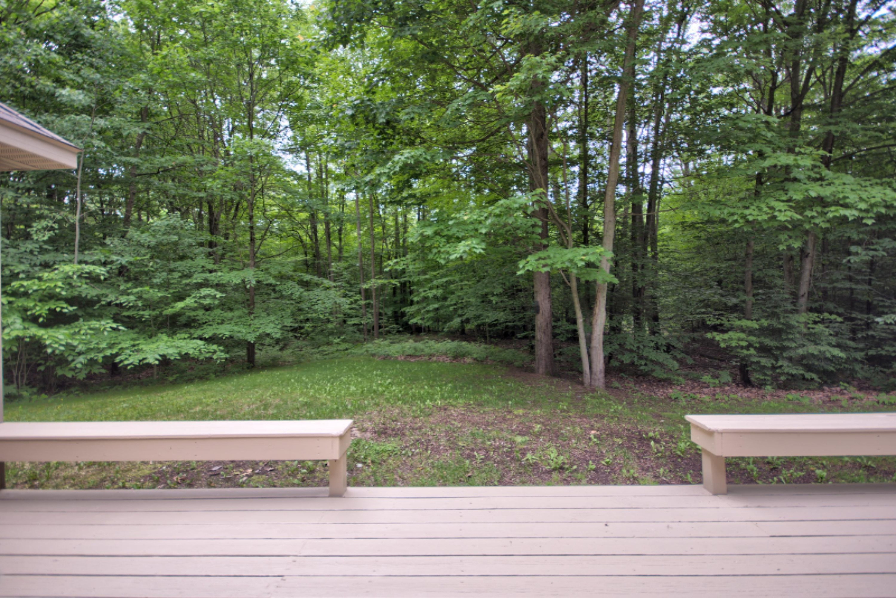 5805 Nestrom Road Whitehall, MI 49461 - Photo 8 of 26 Back Yard View