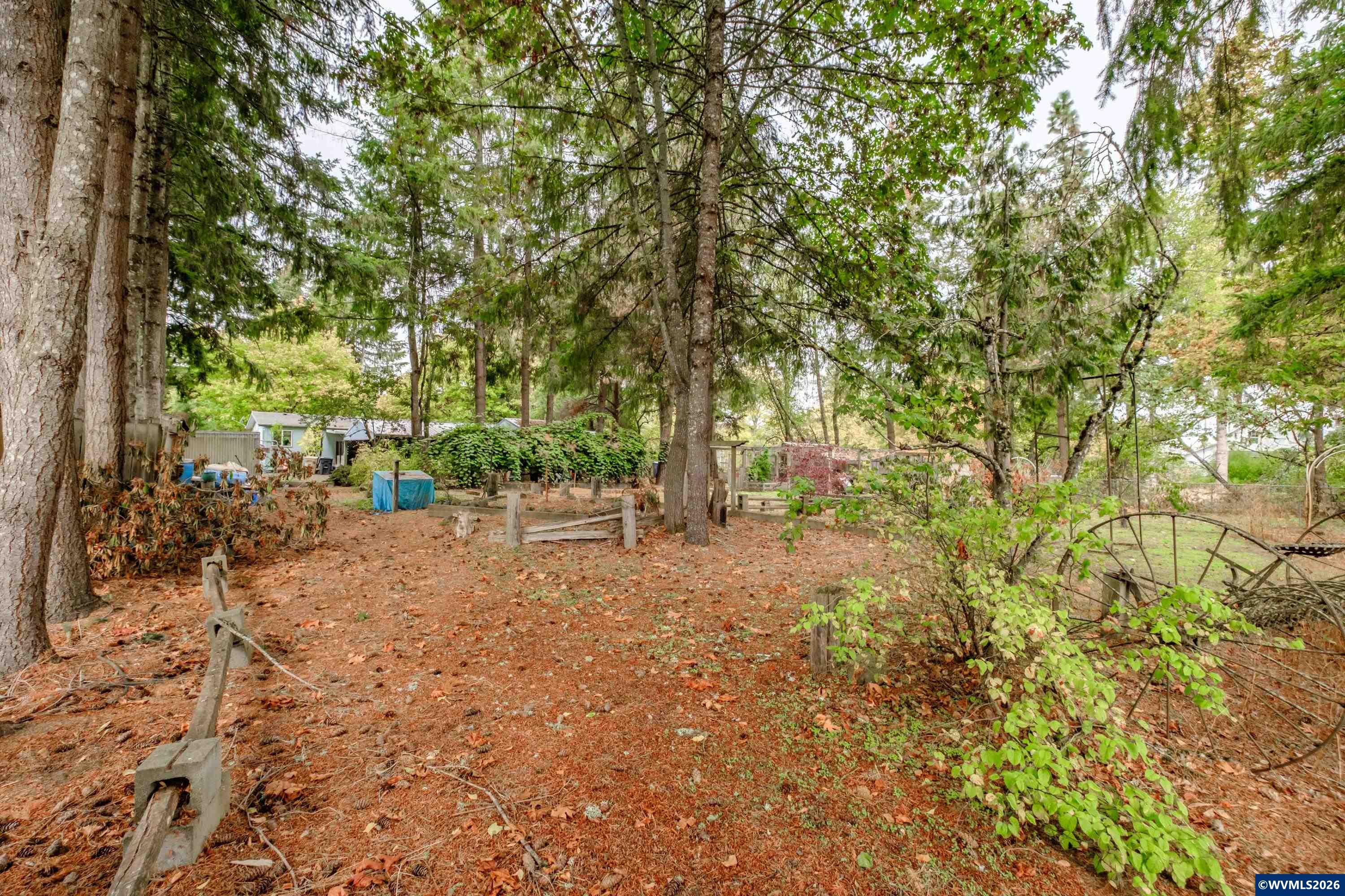 Lot 030100 Southwest Beech Street Scio, OR 97374 - Photo 5 of 41
