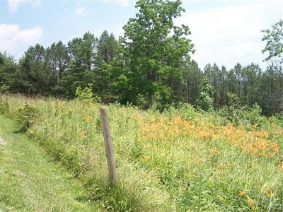 0 Locust Grove Road Keavy, KY 40737 - Photo 1 of 5 Photo 1