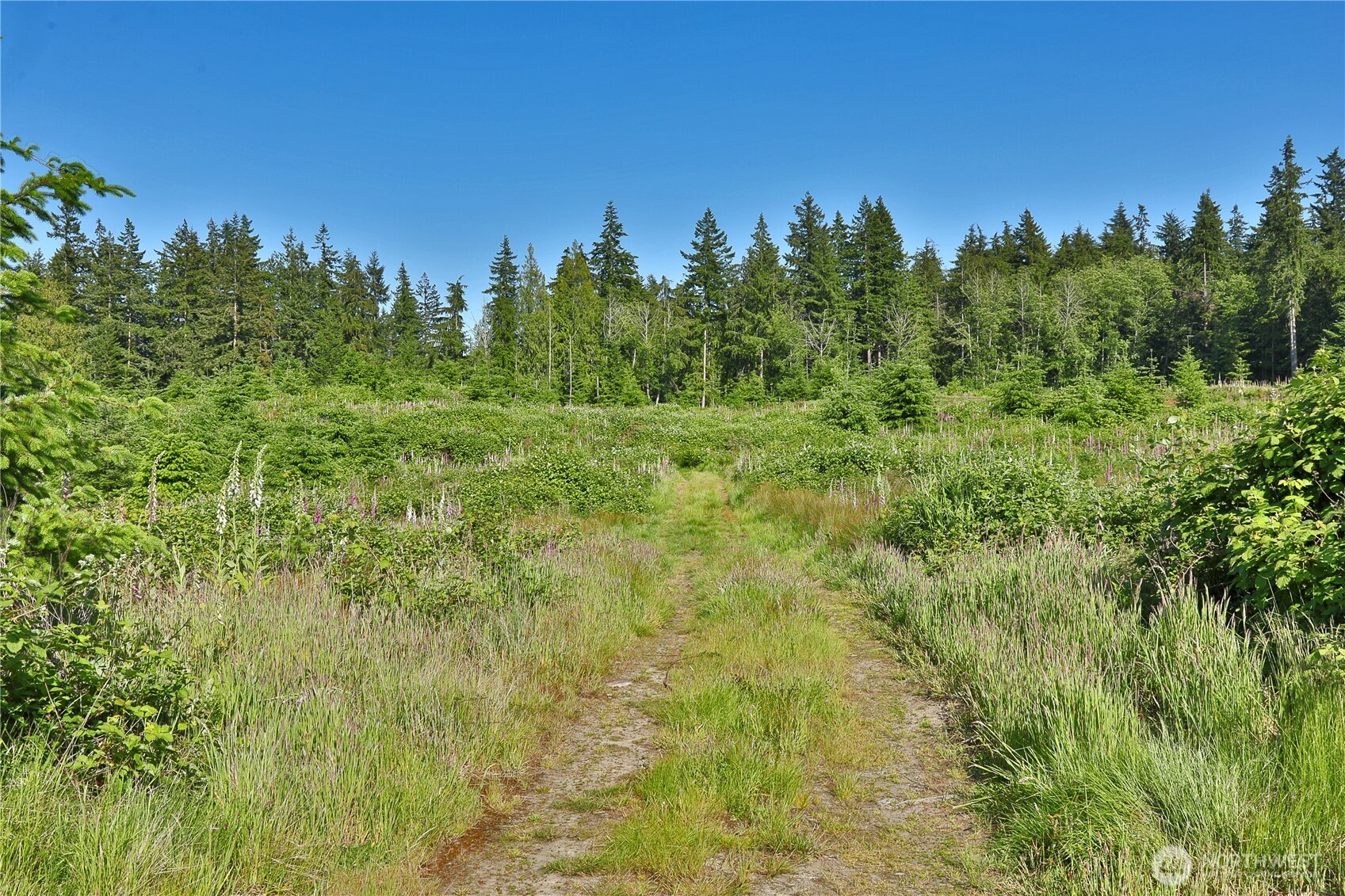 2062 East Goodell Road Freeland, WA 98249 - Photo 28 of 37