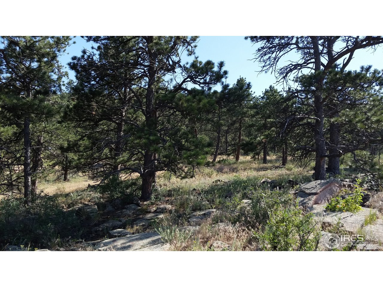 600 Indian Lookout Road Lyons, CO 80540 - Photo 1 of 11 The Property