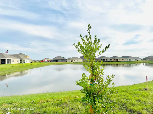 a view of a lake with a city