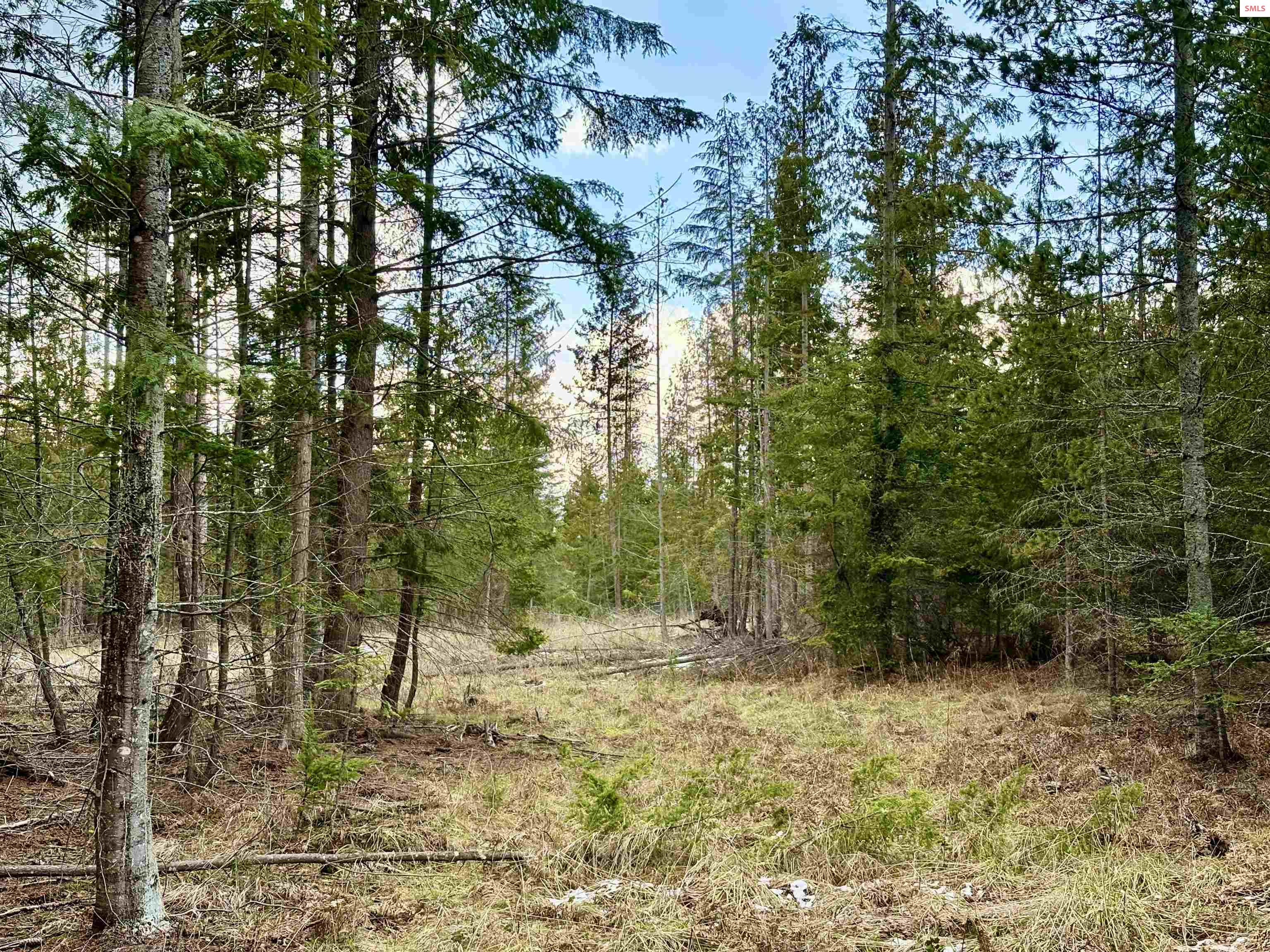1-2 3 Lost Mile Road Naples, ID 83847 - Photo 13 of 25