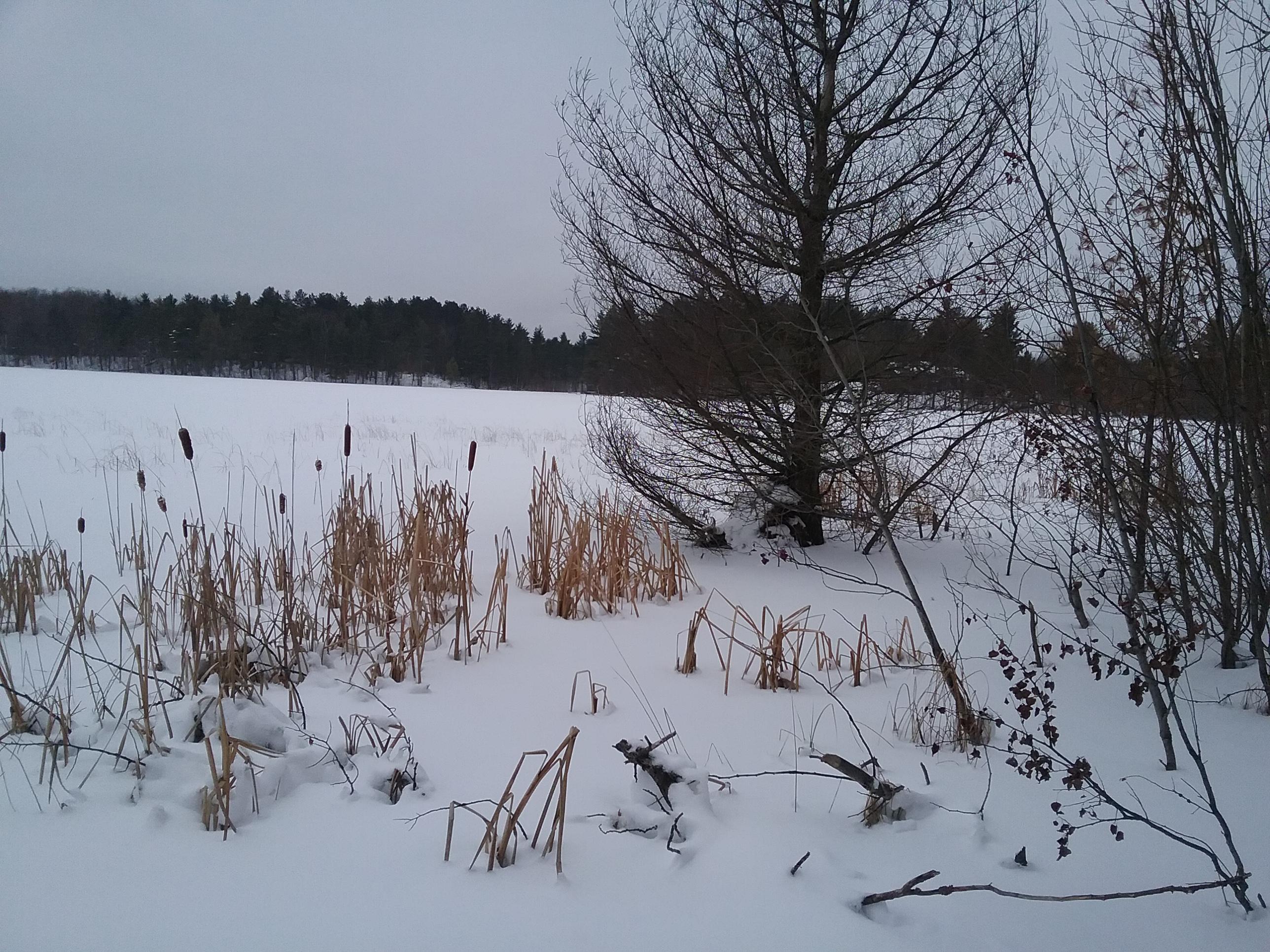 Murner Road Gaylord, MI 49735 - Photo 14 of 16