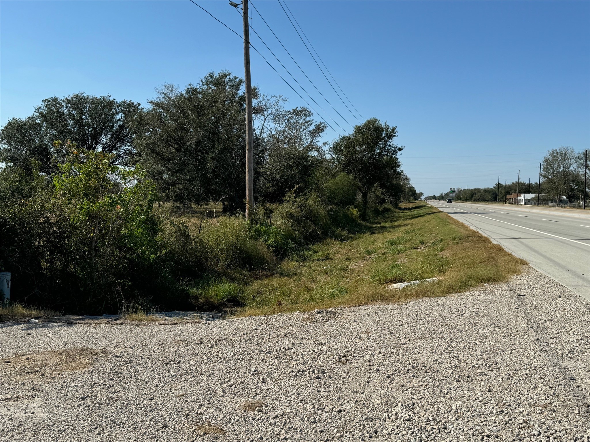 0 Highway 36 South Guy, TX 77444 - Photo 13 of 15 a view of a yard