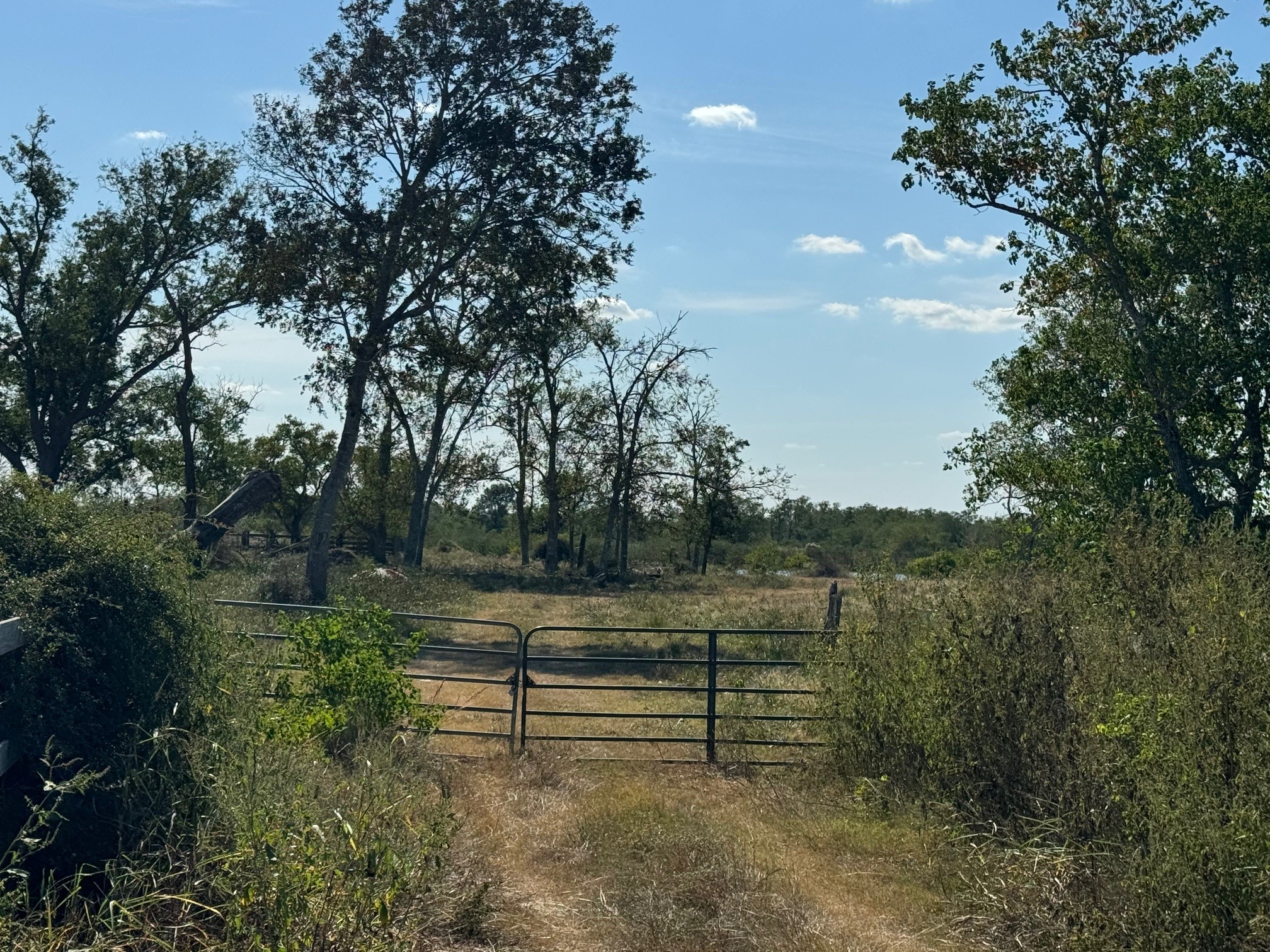 0 Highway 36 South Guy, TX 77444 - Photo 6 of 15 a view of outdoor space and green space