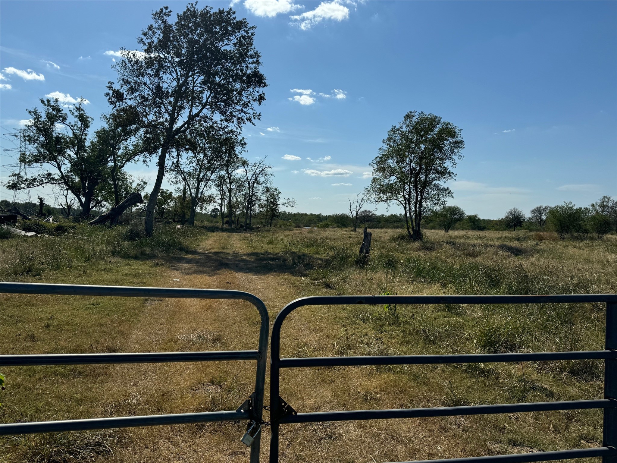 0 Highway 36 South Guy, TX 77444 - Photo 7 of 15 a view of a garden