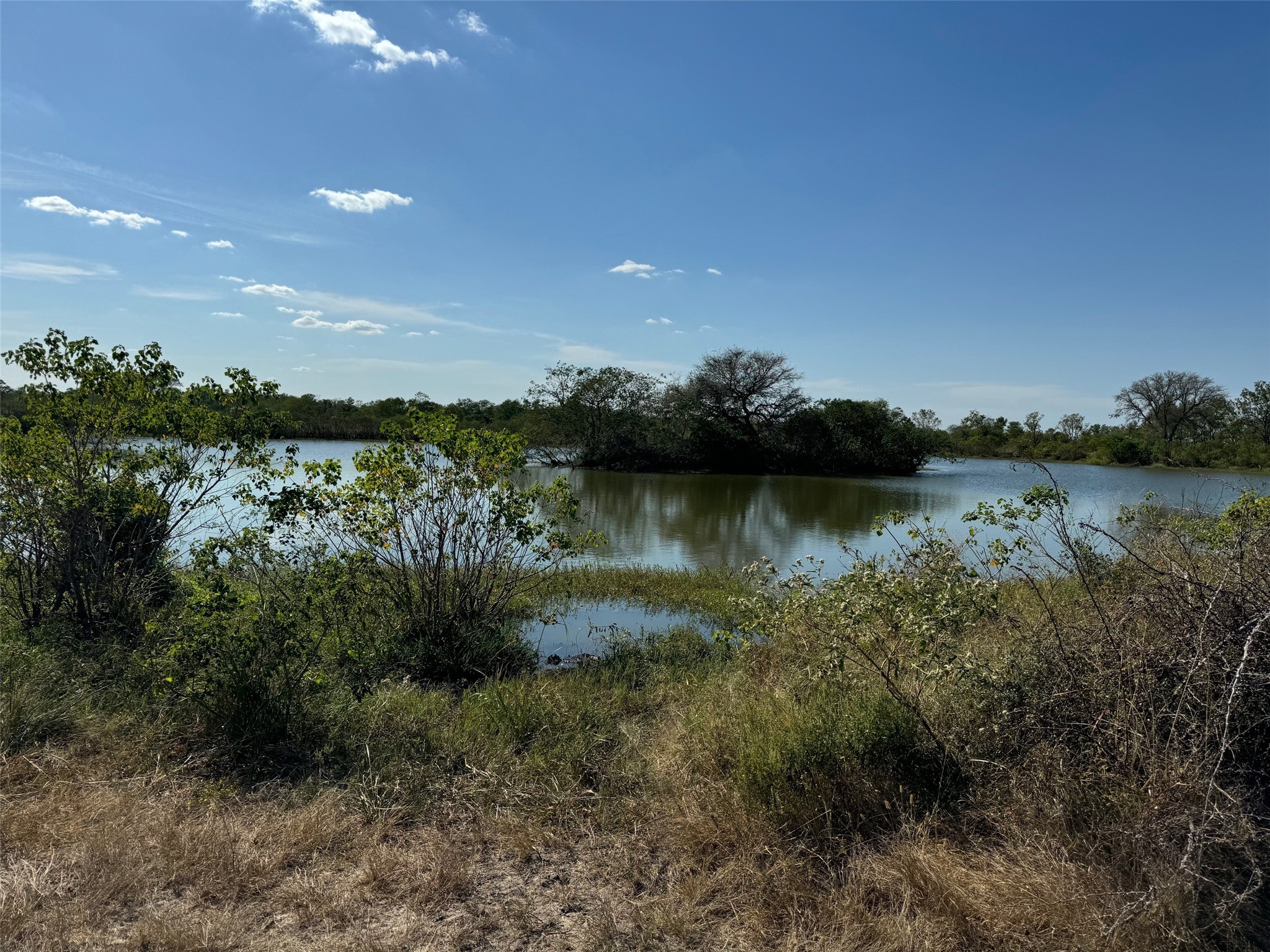 0 Highway 36 South Guy, TX 77444 - Photo 8 of 15 a view of a lake with green space