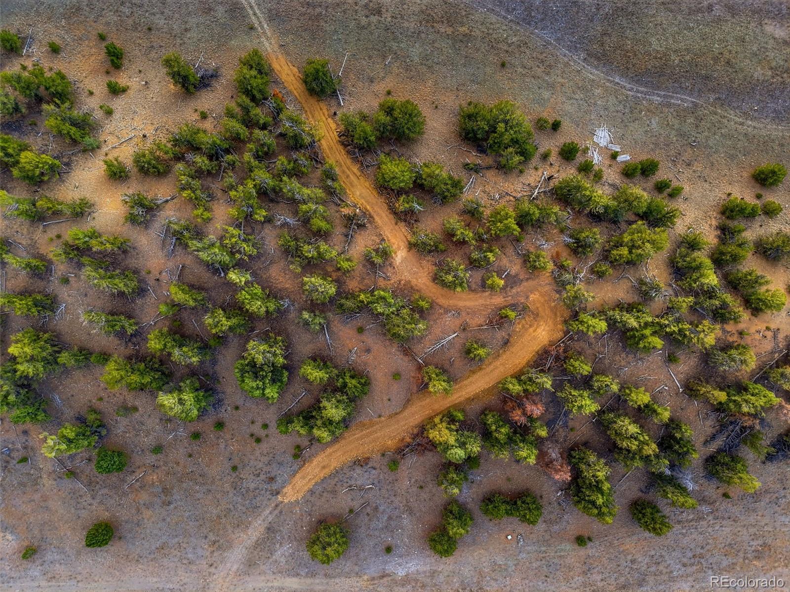 585 Vaquero Way Como, CO 80432 - Photo 14 of 18 a view of a yard with a tree