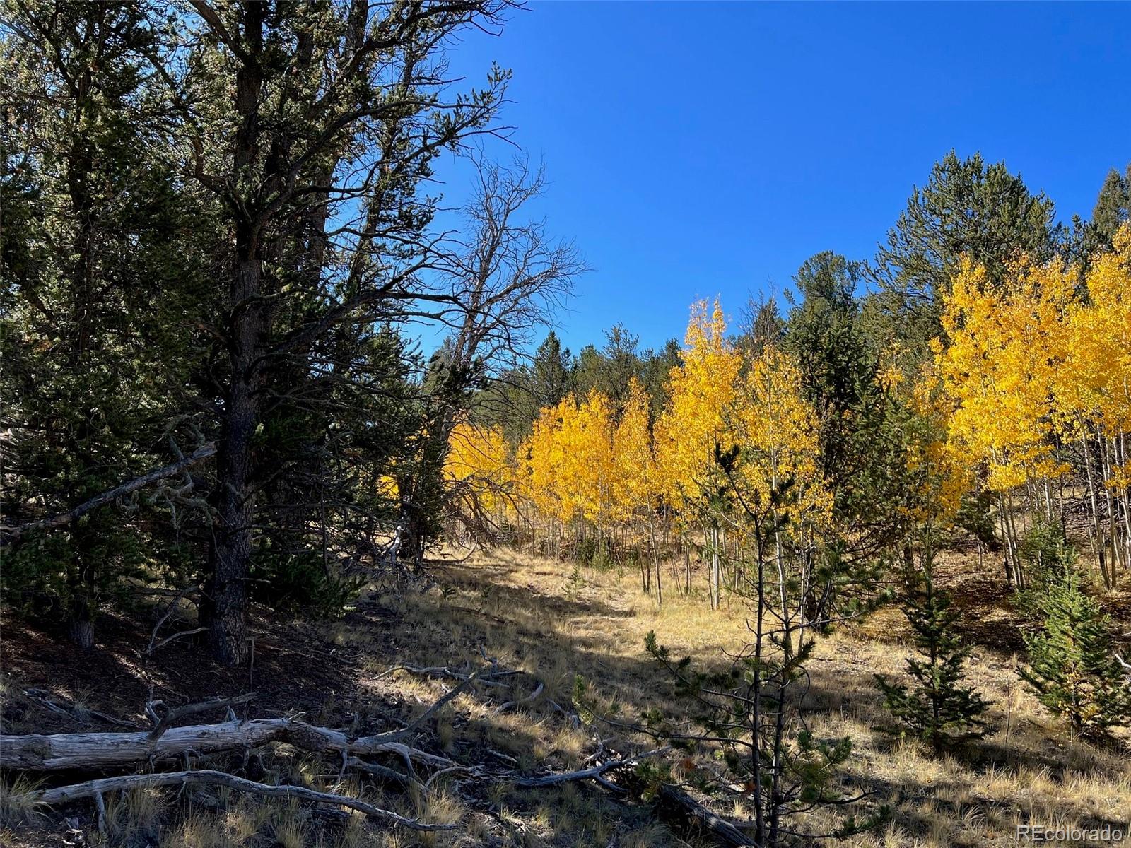 585 Vaquero Way Como, CO 80432 - Photo 15 of 18 a view of a yard with a tree
