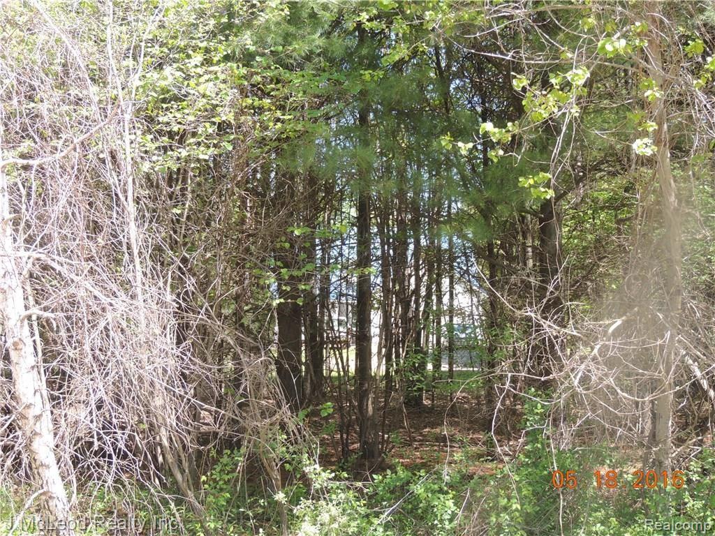 6356 Murphy Lake Road Millington, MI 48746 - Photo 40 of 41 DSCN1130.JPG