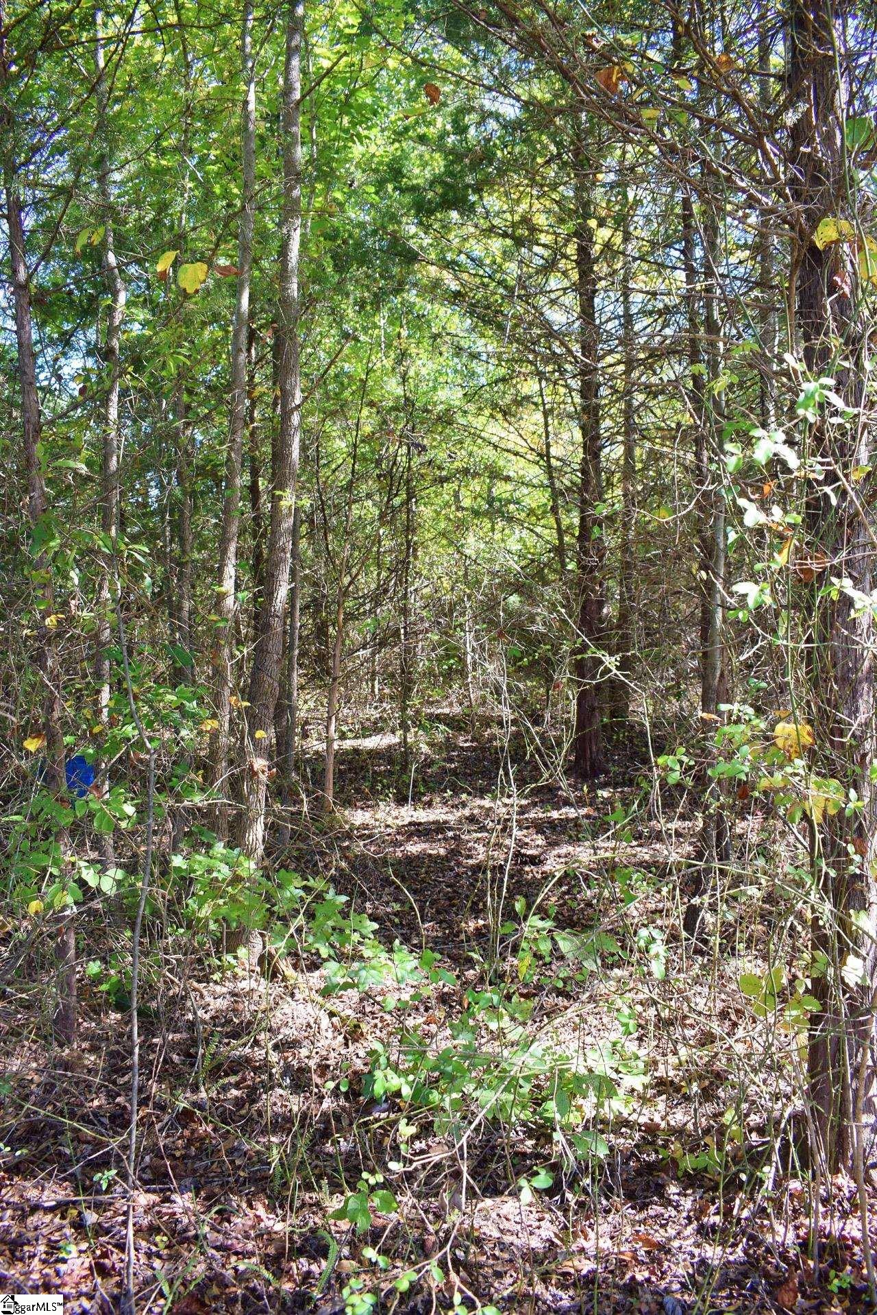 123 State Rd S-42-579 Woodruff, SC 29388 - Photo 2 of 24 Gallery Image 2