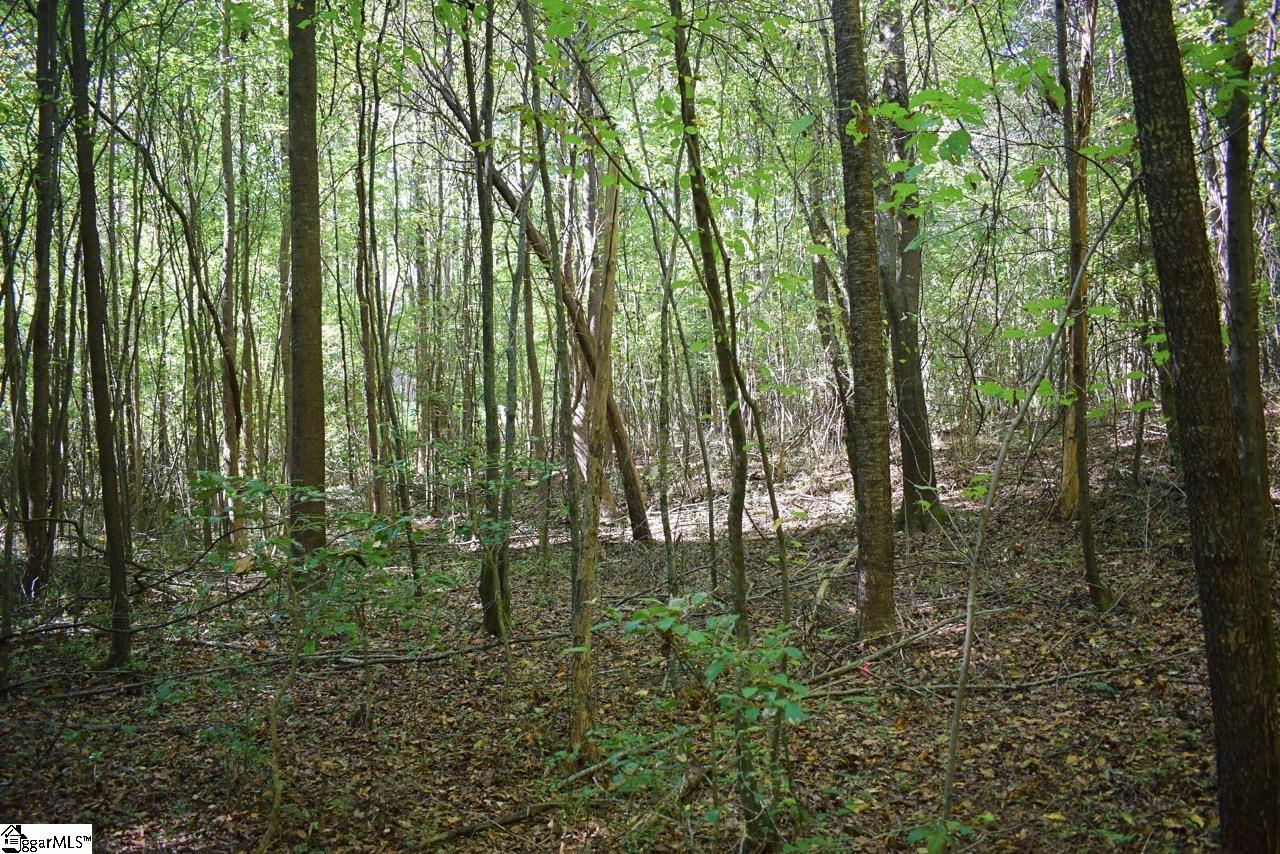 123 State Rd S-42-579 Woodruff, SC 29388 - Photo 14 of 24 Gallery Image 14