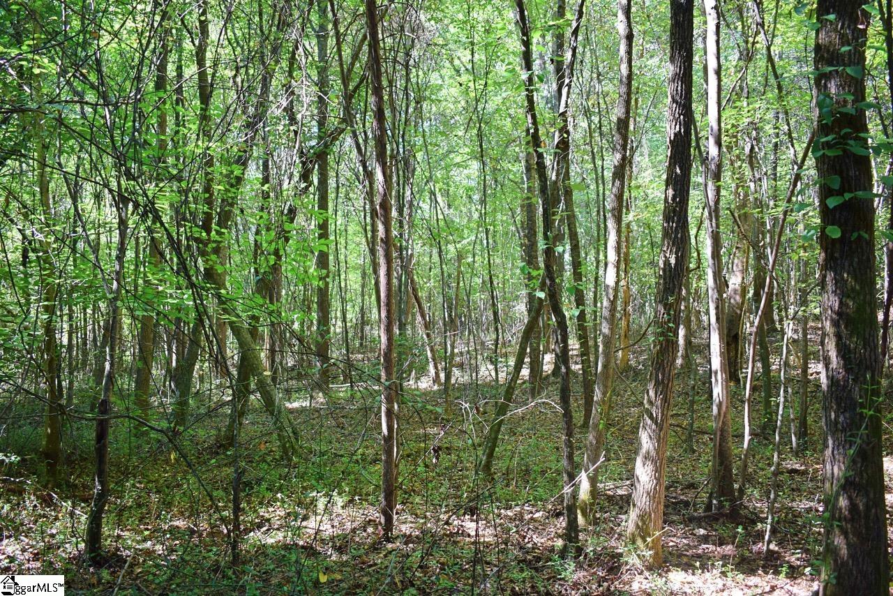 123 State Rd S-42-579 Woodruff, SC 29388 - Photo 20 of 24 Gallery Image 20