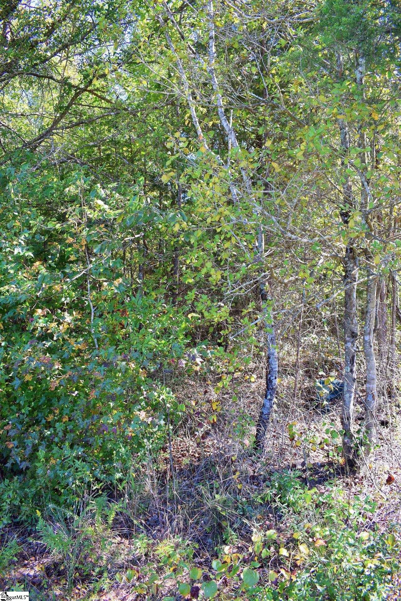 123 State Rd S-42-579 Woodruff, SC 29388 - Photo 3 of 24 Gallery Image 3
